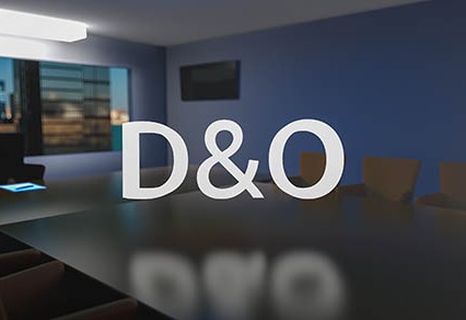 D&O insurance may be worth considering for some companies